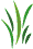 herbe